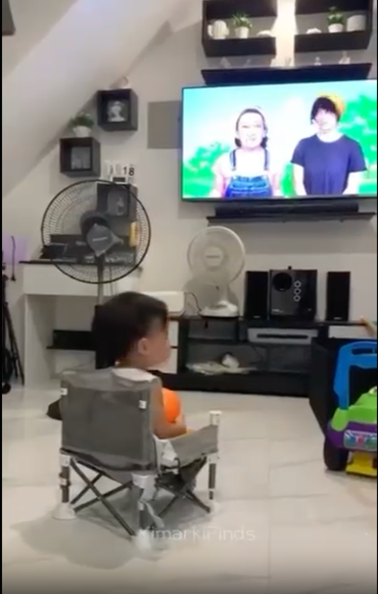 Folding Portable High Chair with Tray